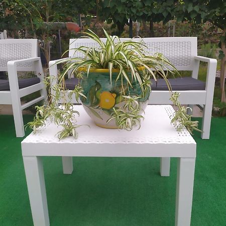 אשאה Casa Vacanza Alice & Mari מראה חיצוני תמונה