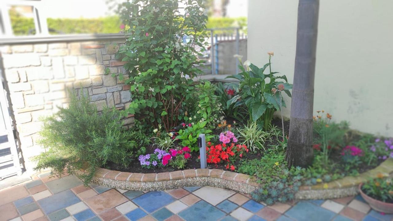 אשאה Casa Vacanza Alice & Mari מראה חיצוני תמונה
